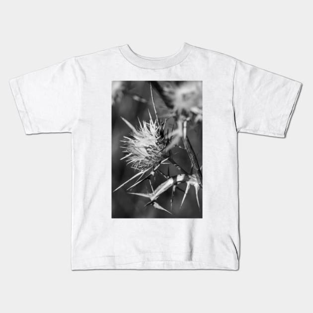 One seed head. Kids T-Shirt by sma1050